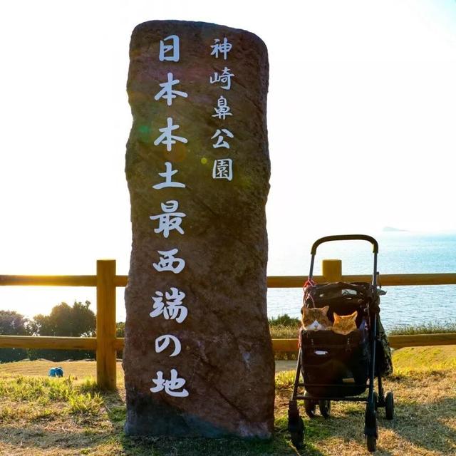 8年遊遍47個城市，這兩隻貓如果出旅遊攻略我一定買！ 