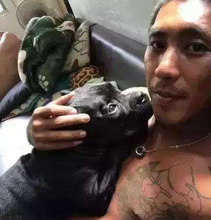狗狗來「大姨媽」，穿上網友自製的生理褲，總覺得哪裡不太對……