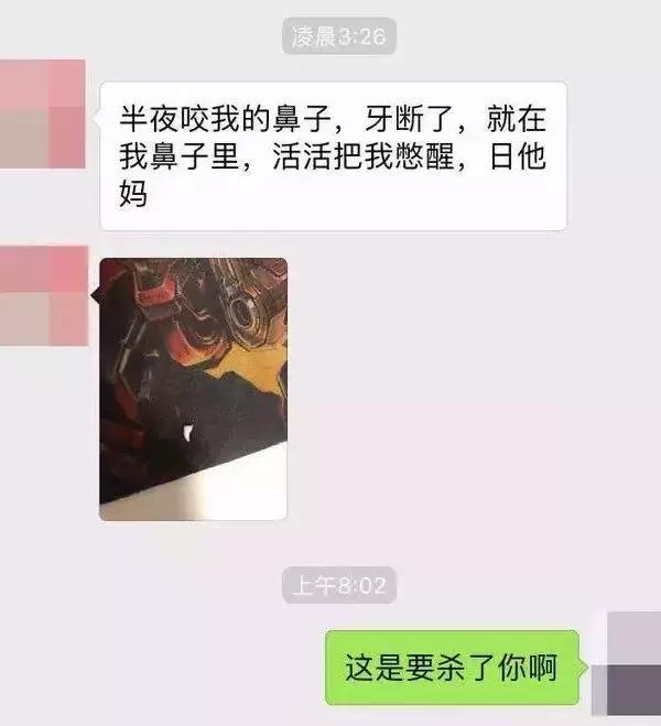 貓咪把電線咬破，結果燒焦了鬍子！網友：好可愛的買買提~