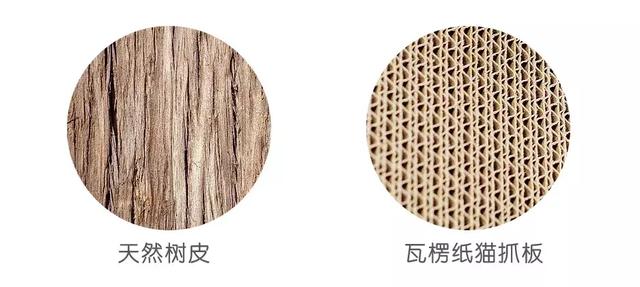 貓咪為什麼痴迷於貓抓板？這是來自於瓦楞紙的神秘力量！  