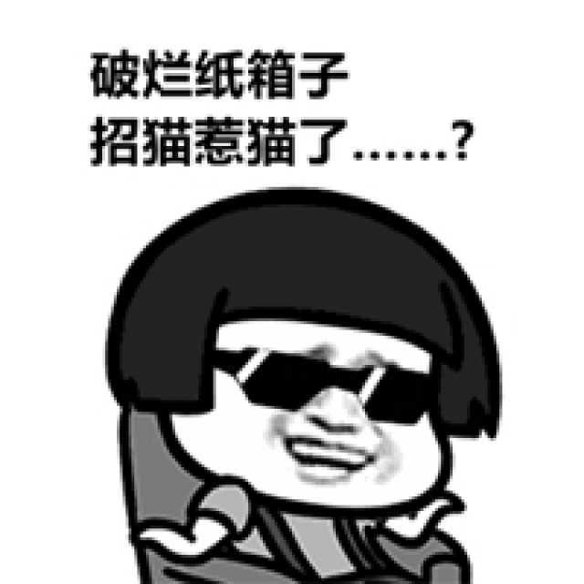 貓為什麼總喜歡擠在紙箱子裡不出來？