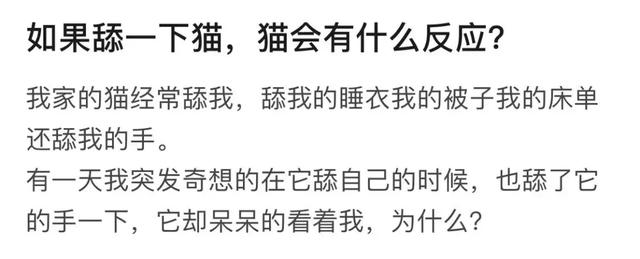 如果舔一下貓，貓會有什麼反應？  