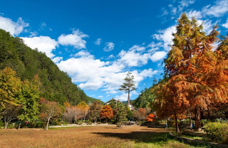 春遊就要這樣玩》桃園、台中必去十大熱門景點看這裡