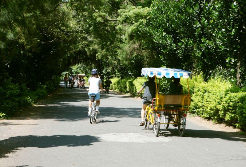 春遊就要這樣玩》桃園、台中必去十大熱門景點看這裡