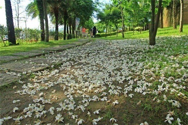 春遊就要這樣玩》桃園、台中必去十大熱門景點看這裡