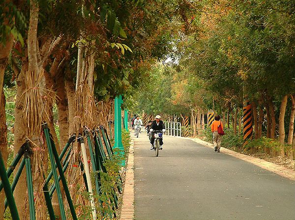 春遊就要這樣玩》桃園、台中必去十大熱門景點看這裡
