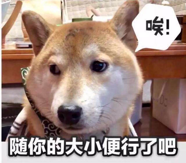 關於狗狗拉屎這件事，我可以說上好幾天