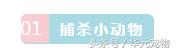 投喂流浪貓，我真的做錯了麼？