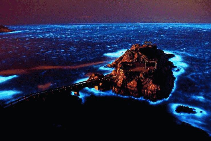 比鼓浪嶼更小眾浪漫，最適合情侶去的3座「藍眼淚」夢幻海島