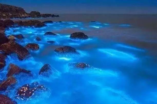 比鼓浪嶼更小眾浪漫，最適合情侶去的3座「藍眼淚」夢幻海島