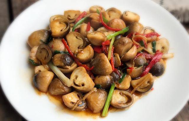 蘑菇怎麼做都好吃，這5種做法超下飯！簡單易學，你吃過嗎？