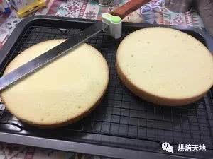 私房烘焙必備熱銷款！3D立體卡通小熊慕斯蛋糕