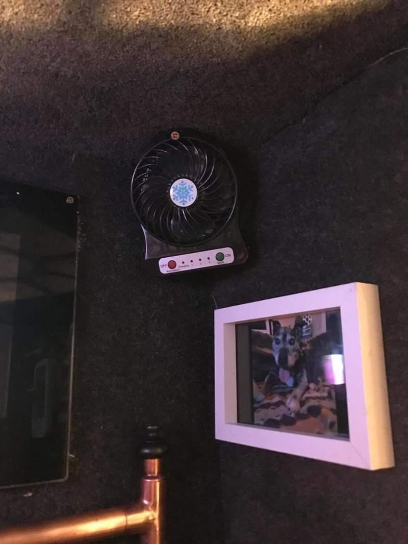 為了克服信任問題飼主動手打造《個人劇院狗屋》成功用愛克服毛孩的恐懼♥