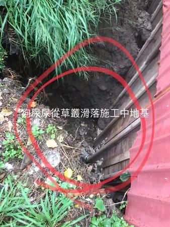 狗狗掉進5米深地基，工人用挖掘機救起，主人都沒發現狗丟了