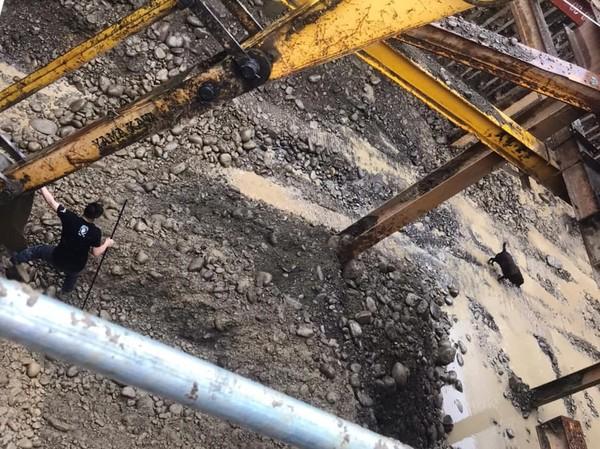 狗狗掉進5米深地基，工人用挖掘機救起，主人都沒發現狗丟了