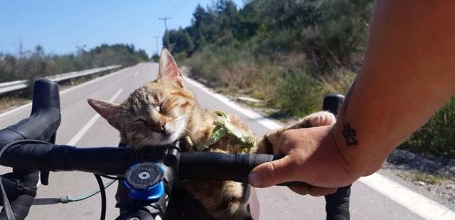 男子旅行遇流浪貓，帶它一起環遊歐洲，在貓的幫助下解開了心結