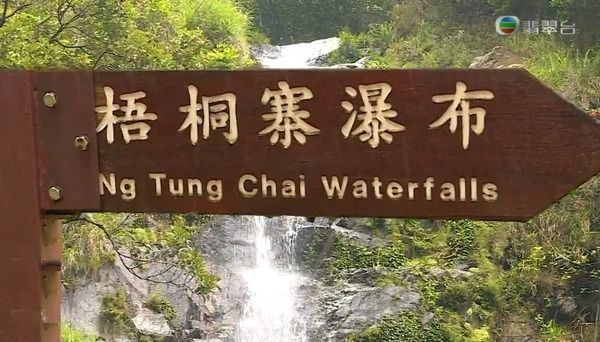 運動節目有福利！正妹主持播出後被觀眾罵：以為大人節目 ！