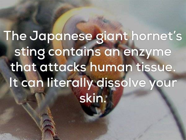 25個讓你「瞬間覺得毛骨悚然」的驚人事實