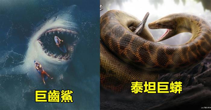 盤點5種超適合用來作為電影題材的恐怖「古代動物」