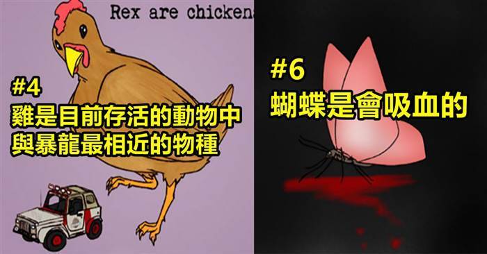 關於動物的18件奇妙事實~~~#1. 熊貓沒有固定的睡覺時間點；牠們會在不特定時間突然睡著