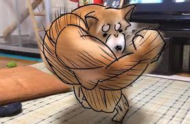 「右勾拳柴犬」大爆紅引出超能力系超萌動物　松鼠「物理、魔法」都俱備強到犯規！