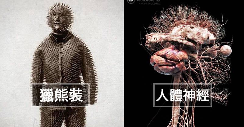 26個「直接讓你補滿腦袋空隙」的驚奇照　真正的惡魔之眼主人絕對是駱駝！