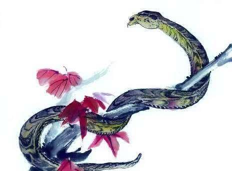 你屬什麼天命就是什麼。