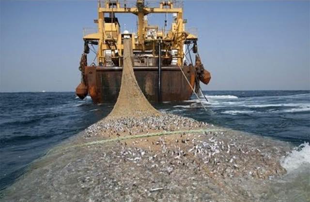 世界上最大的捕魚船：造價高達18億元，一網魚幾輩子都吃不完！ 
