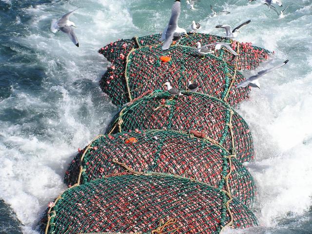 世界上最大的捕魚船：造價高達18億元，一網魚幾輩子都吃不完！ 