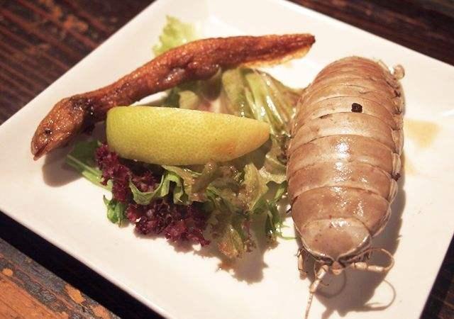 比手掌還大的「虱子」你見過嗎？生命力極強堪稱活化石！