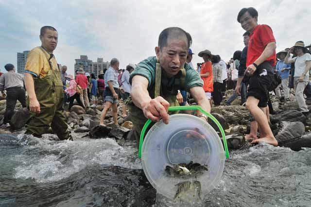 離家僅十尺！東勢清雜草驚見「2百條毒蛇」亂竄上岸…鄰近住家怒罵：放生團體太過分