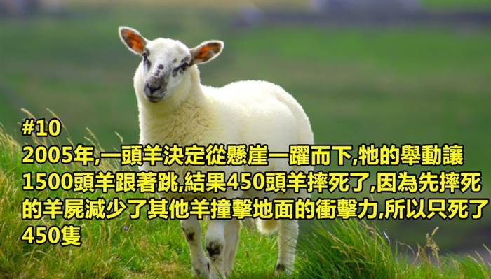 20個會讓你增廣見聞的冷知識！ #1. 吃太多巧克力是會死的~~~