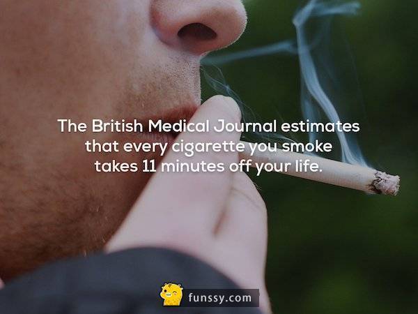20個會讓你增廣見聞的冷知識！ #1. 吃太多巧克力是會死的~~~
