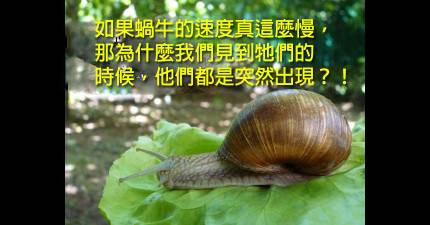 18個你在洗澡時才會腦袋清楚到能想到的爆笑真相。~~~