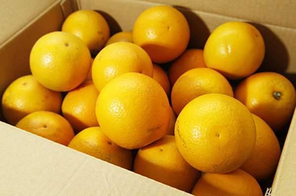 拜拜時，請注意「這6種水果」絕不能上供桌！代表著對神明不敬.
