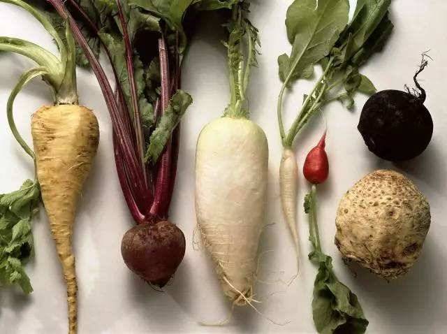 放在冰箱裡的食物總是相互串味，怎麼辦？營養師教你：超強「冰箱保存術」，再也不怕蔬菜串味，營養流失了