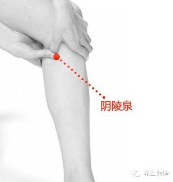 這些不為人知的人體毒素排泄口！每天按，把濕毒排出去，人就會少生病！！