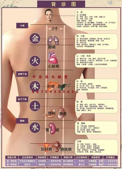 中醫背診！（很強大）