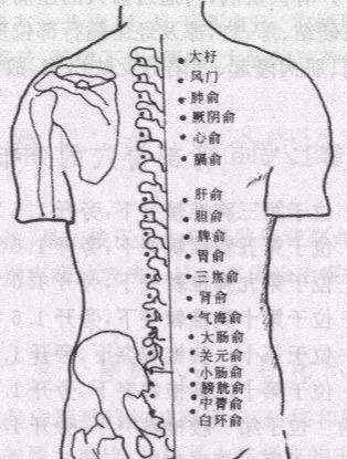中醫背診！（很強大）