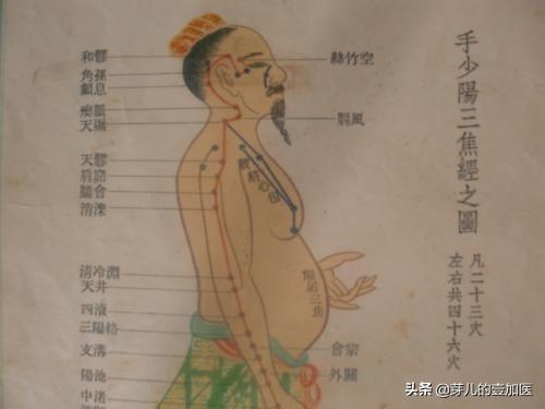 三焦不通，水穀不運、元氣不暢怎麼辦？拍通它！