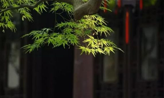 命里有時終須有，命里無時莫強求
