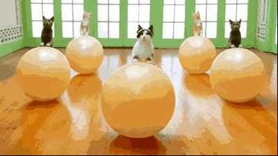 幾種「最廉價」的運動，無需去健身房！上班族特別需要