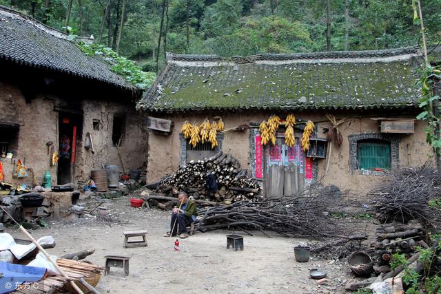 老伴病重三兒不救，多年後老漢立下百萬遺囑，三兒看了泣不成聲
