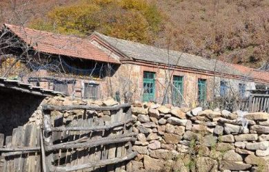 傻子給父親上墳，哭完後發現上錯墳，回來手指大山，救全村人的命
