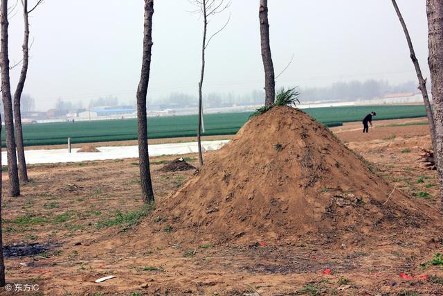 兒子記恨父母三十年，兒媳和孫子一席話，兒子哭著跪地向父母認錯
