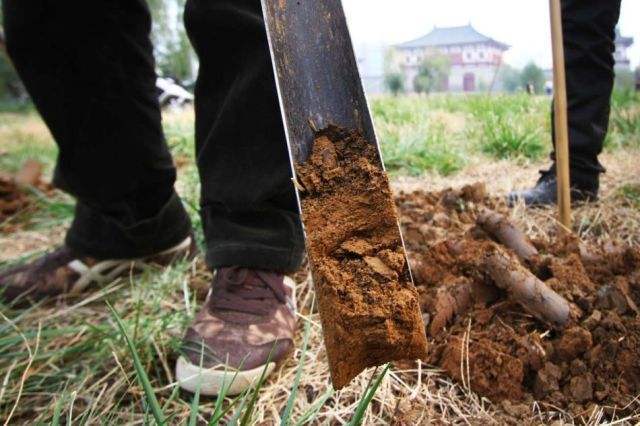 老母親三個兒子，沒一個活過18歲，老人死後村民掃墓，才知實情