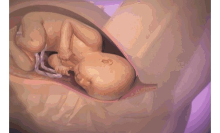 生寶寶順產到底有多疼？7張圖片告訴你女生寶寶順產到底有多疼？7張圖片告訴你女人有多不容易，人有多不容易，請珍惜每一個媽媽