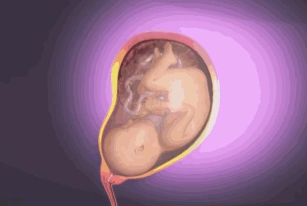 順產到底有多痛？女人到底有多不容易？老公看完18張圖，說：不生了