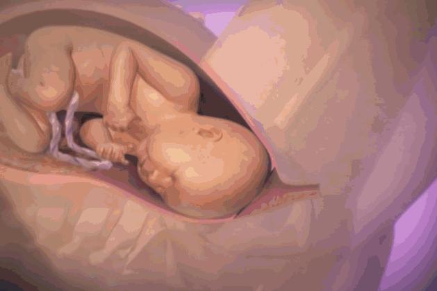 順產到底有多痛？女人到底有多不容易？老公看完18張圖，說：不生了