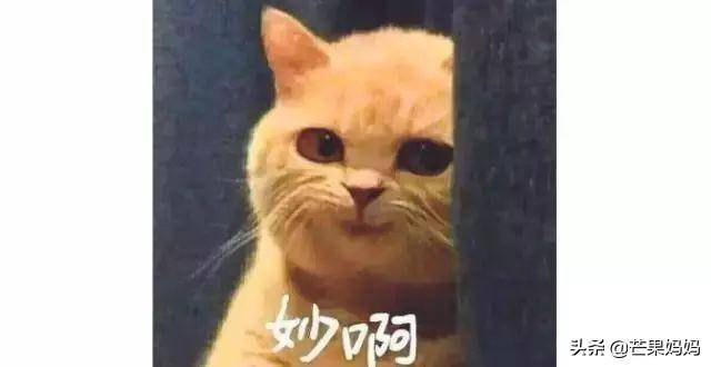 前男友變姐夫？兩姐妹搶男友？賭王一家就是部狗血電視劇啊